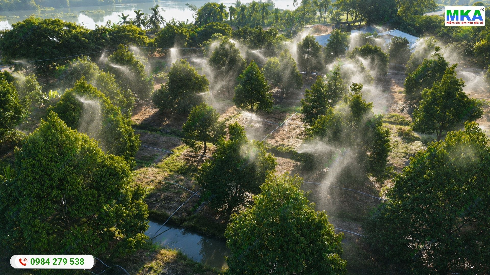 Hệ thống phun thuốc tự động cho sầu riêng